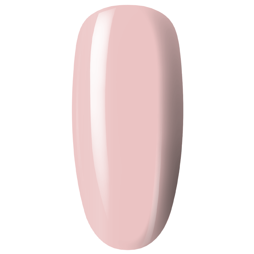 pol_pl_5843-5843_1.png